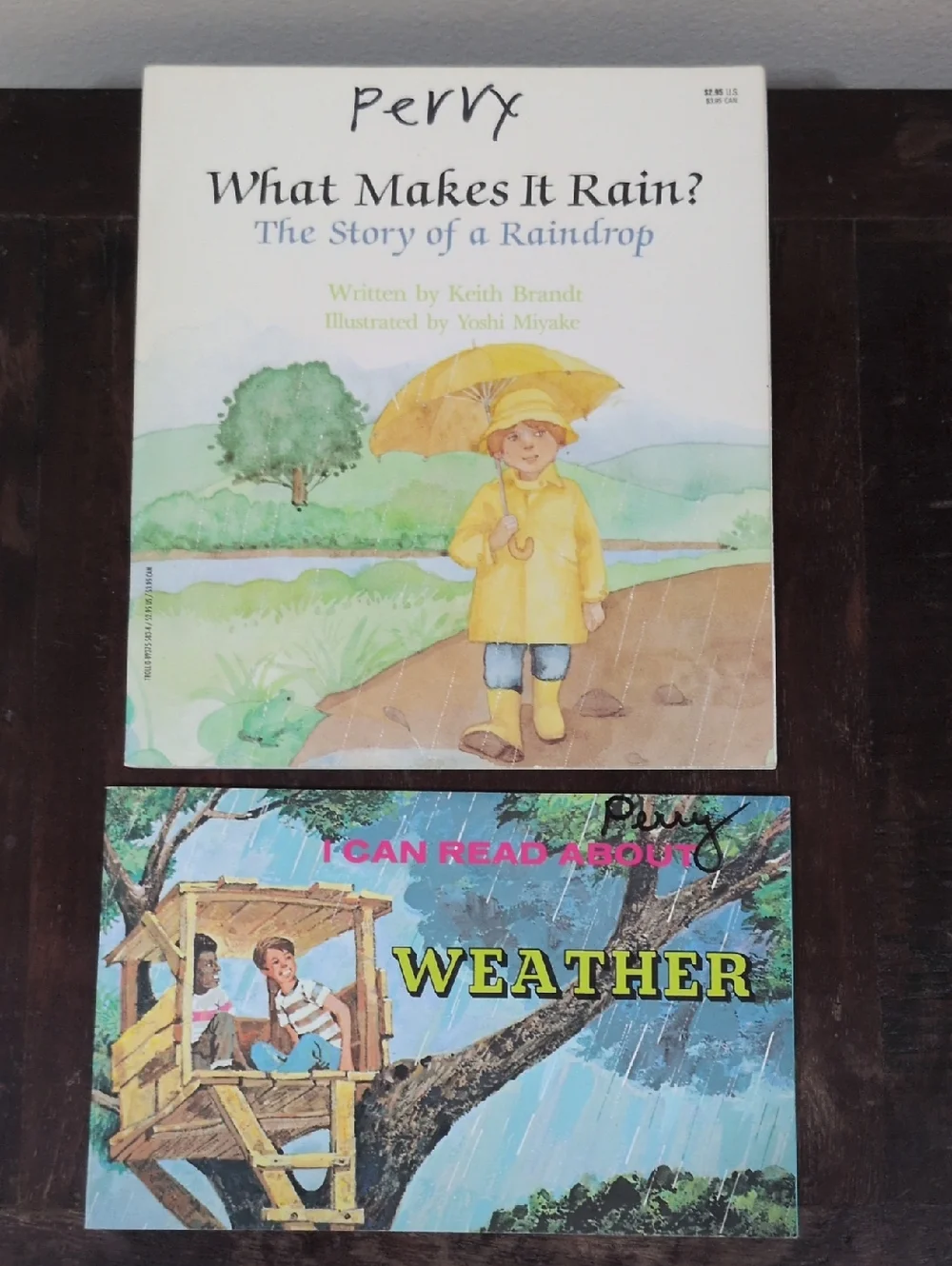 Scholastic Paperback Book Set of 12 Weather Themed Used Books